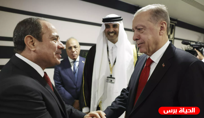 السيسي وأردوغان يتفقان على رفع مستوى العلاقات الدبلوماسية فوراً